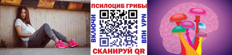 Псилоцибиновые грибы Psilocybe  Знаменск 