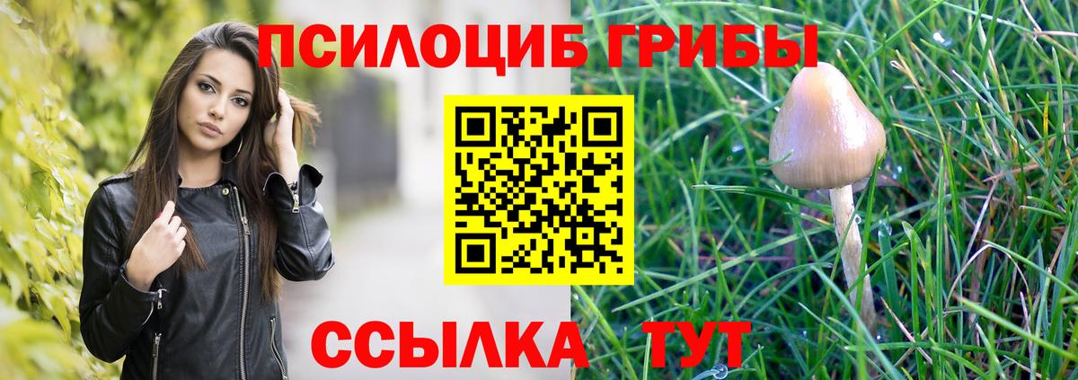 Меф Знаменск