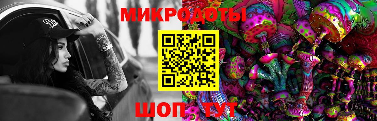 Знаменск  как найти наркотики  Вход с VPN  Галлюциногенные грибы прущие грибы 
